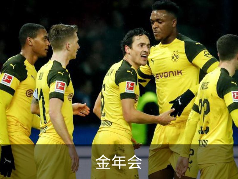 金年会简介